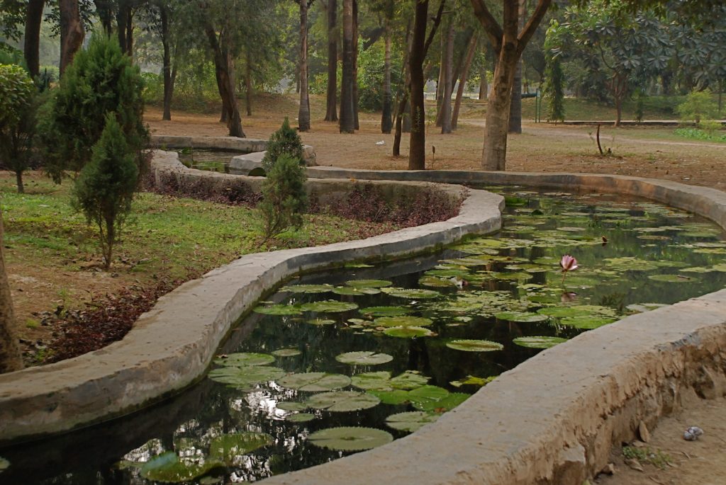 Lodi Gardens